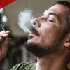 Study Finds 6 Million U.S. Children Live With a Parent Who Uses Marijuana Regularly
