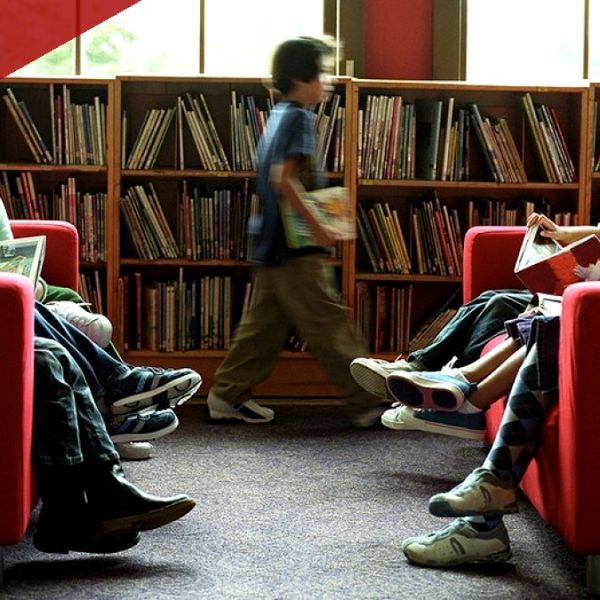 An Educator Makes the Case for 'Living Books' Over Standard Textbooks