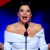Ana Navarro's On-Air Endorsement in Miami Congressional Race Sparks Backlash Against ABC