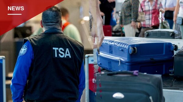 Fake IDs Found Hidden Next to Xbox in LaGuardia Airport Bag Search