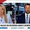 Illinois Democrat's Bill to Abolish ICE and CBP Draws Sharp DHS Rebuke