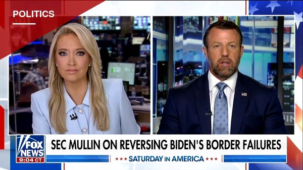 Illinois Democrat's Bill to Abolish ICE and CBP Draws Sharp DHS Rebuke