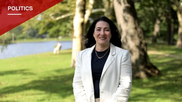 Nassau Health Care Executive Vider Challenges Canzoneri-Fitzpatrick for State Senate Seat