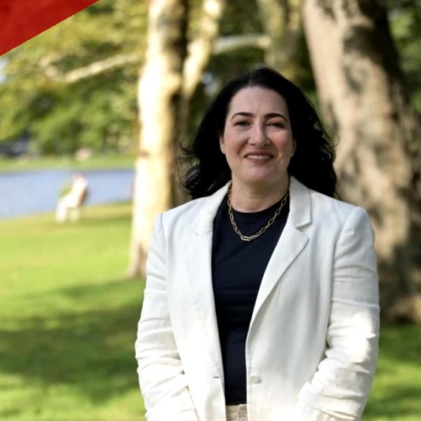 Nassau Health Care Executive Vider Challenges Canzoneri-Fitzpatrick for State Senate Seat