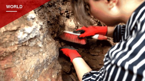 Road Crews Uncover 1,000-Year-Old Pottery Beneath Tbilisi's Main Avenue