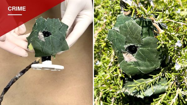 Whittier Police Find Hidden Camera Planted Across From Burglarized Home