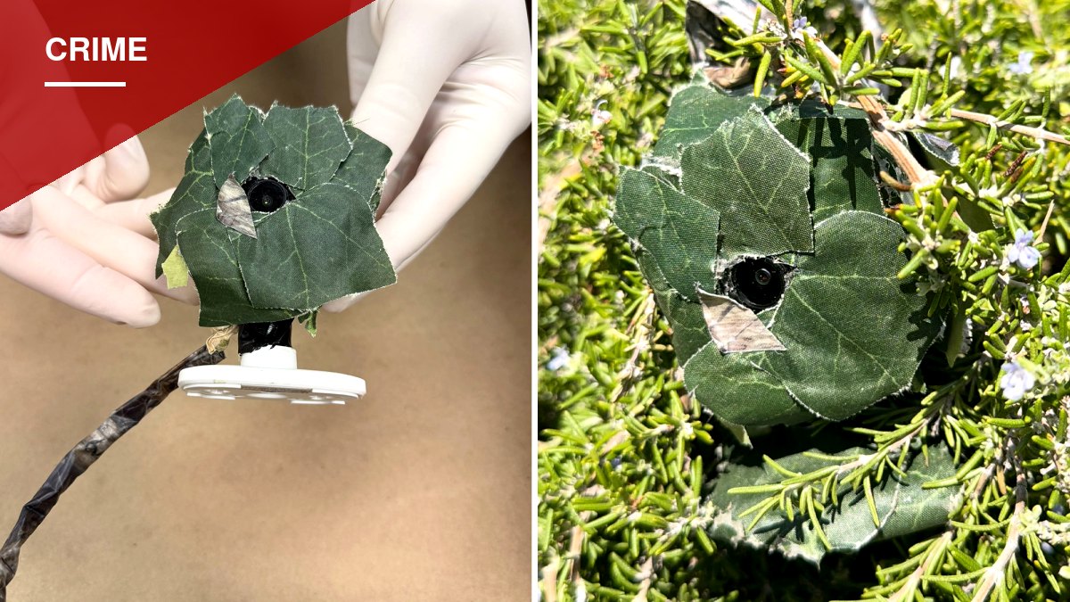 Whittier Police Find Hidden Camera Planted Across From Burglarized Home