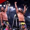 Young Bucks Reclaim AEW Tag Team Titles in Chaotic Three-Way Ladder Match
