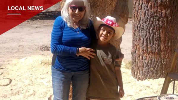 Apple Valley Grandmother, 86, Dies After Running Into Traffic to Save Injured Dog