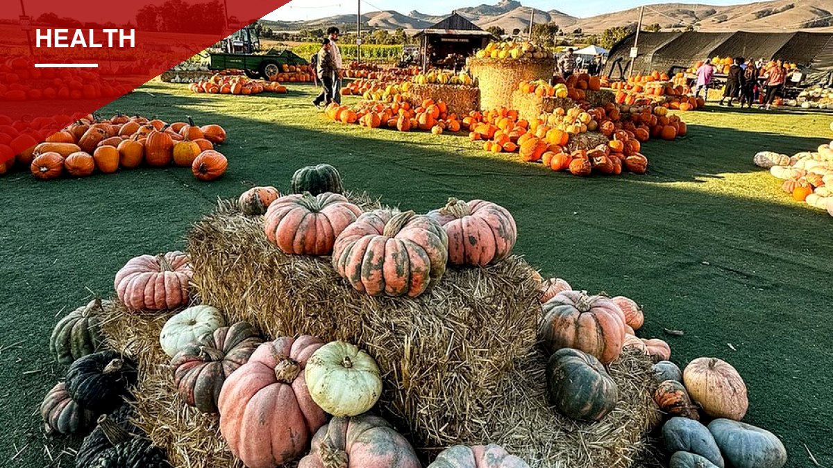 Brookshire Farms Pumpkin Patch Closes as E. Coli Outbreak Sickens Five, Hospitalizes Three Children