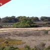 Coastal Commission to Weigh Carlsbad Townhome Plan Opposed by Park Advocates