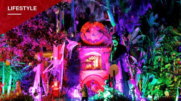Halloween Draws Crowds to Santa Monica, Venice and West Hollywood with Elaborate Displays and Street Festivities