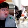 Minneapolis Council Passes Human-Operator Rule for Self-Driving Cars After Councilman's Cat Remarks Draw Mockery