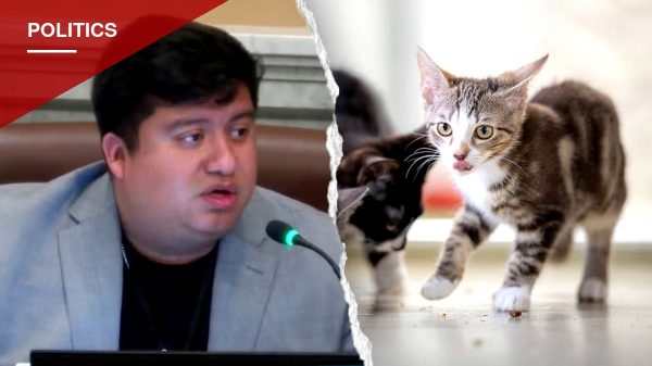 Minneapolis Council Passes Human-Operator Rule for Self-Driving Cars After Councilman's Cat Remarks Draw Mockery