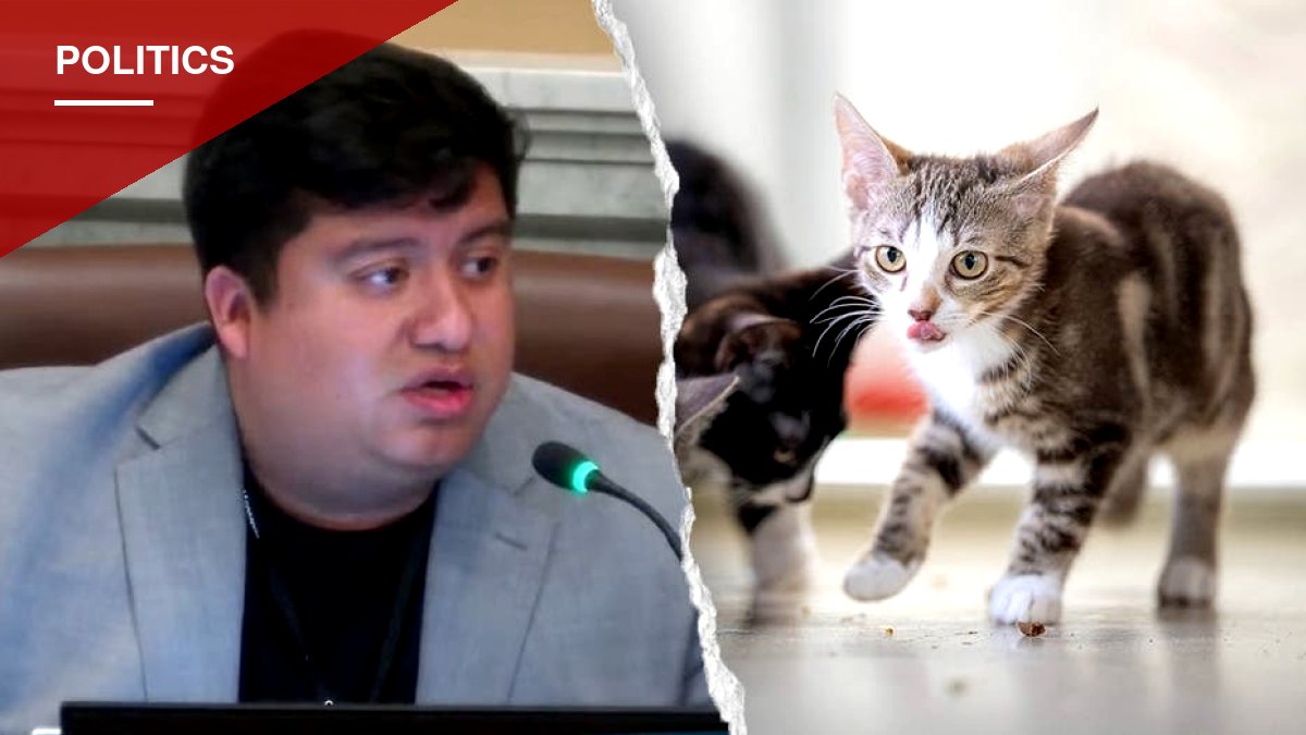 Minneapolis Council Passes Human-Operator Rule for Self-Driving Cars After Councilman's Cat Remarks Draw Mockery