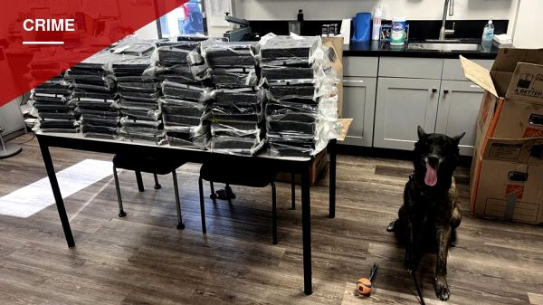 Police Dog Sniffs Out 440 Pounds of Cocaine During Alhambra Traffic Stop