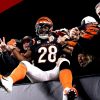 Seahawks Sign Veteran Running Back Joe Mixon Amid Backfield Injuries