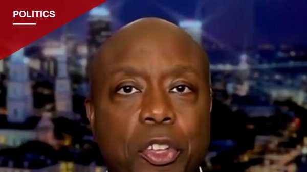 Tim Scott Labels Democratic Senate Hopefuls 'Dangerous, Radical and Weird' in Fox Appearance